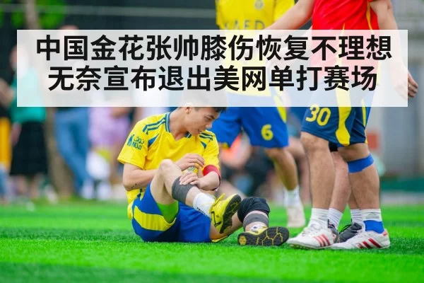 中国金花张帅膝伤恢复不理想无奈宣布退出美网单打赛场