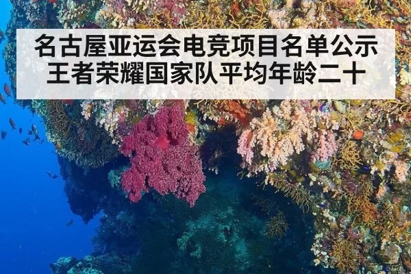 名古屋亚运会电竞项目名单公示 王者荣耀国家队平均年龄二十